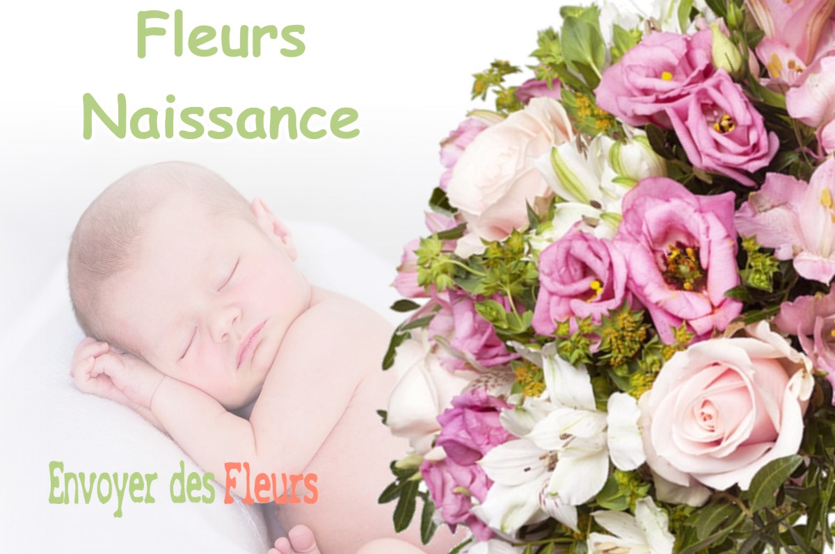 lIVRAISON FLEURS NAISSANCE à LAGLORIEUSE